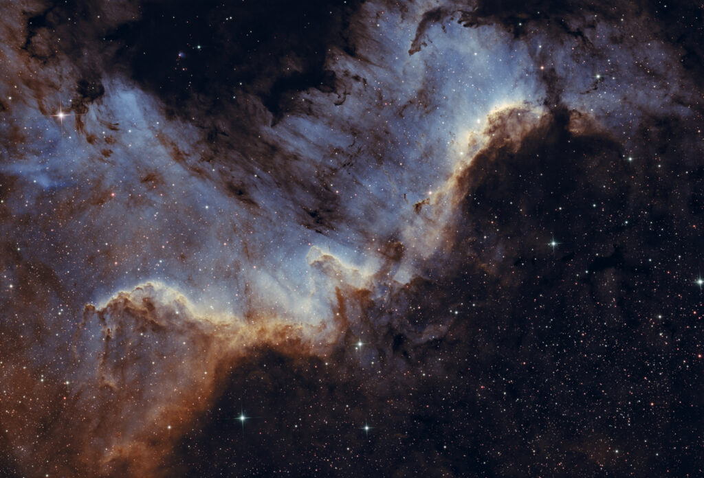 Astrofoto der Great Wall im Nordamerikanebel NGC 7000 mit H-alpha- und OIII-Strukturen sowie dunklen Staubwolken