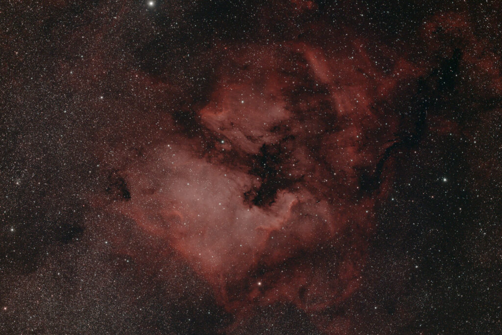 Astrofoto des Nordamerikanebels NGC 7000 im Sternbild Schwan mit roten H-alpha-Emissionen und dunklen Staubstrukturen