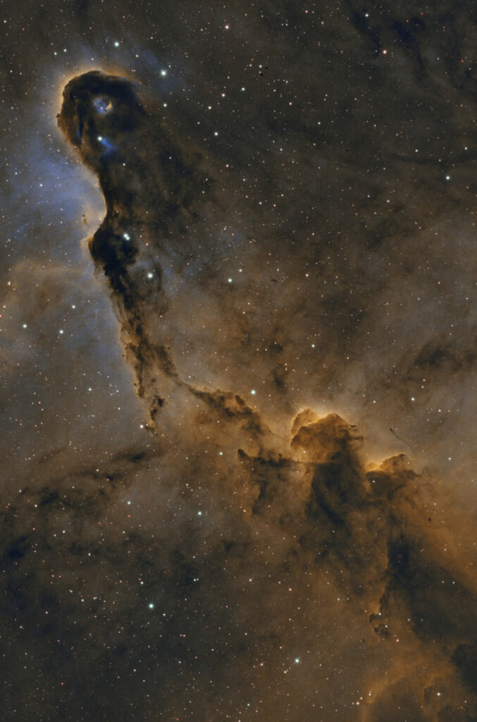 IC 1396A Elefantenrüssel-Nebel mit dunklen Staubstrukturen und leuchtenden Gaswolken in goldgelben, türkisgrünen und blauen Farbtönen.